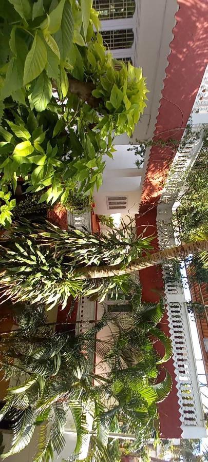Daphne Hotel Mamallapuram Dış mekan fotoğraf