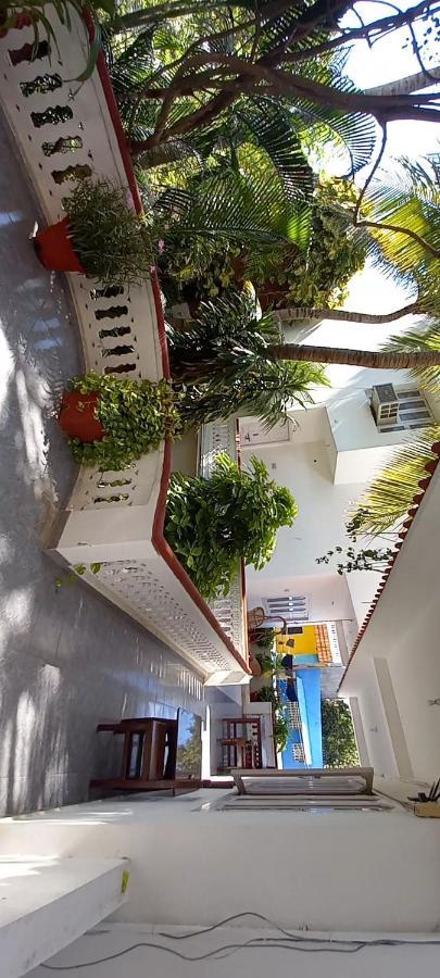 Daphne Hotel Mamallapuram Dış mekan fotoğraf