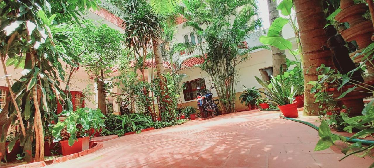 Daphne Hotel Mamallapuram Dış mekan fotoğraf