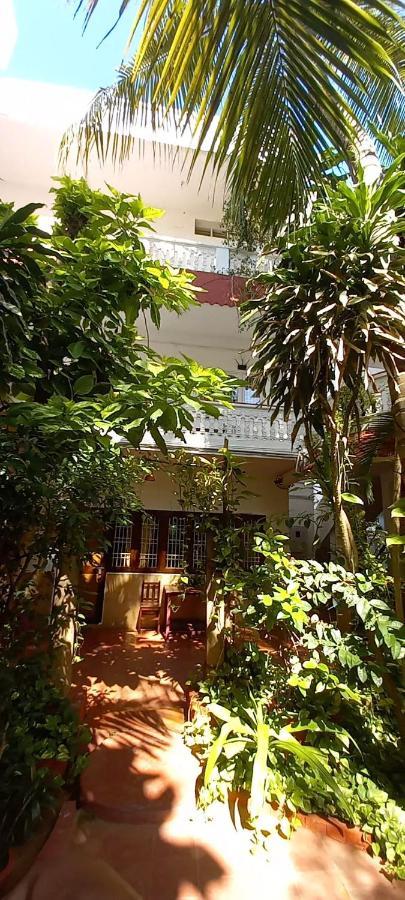 Daphne Hotel Mamallapuram Dış mekan fotoğraf