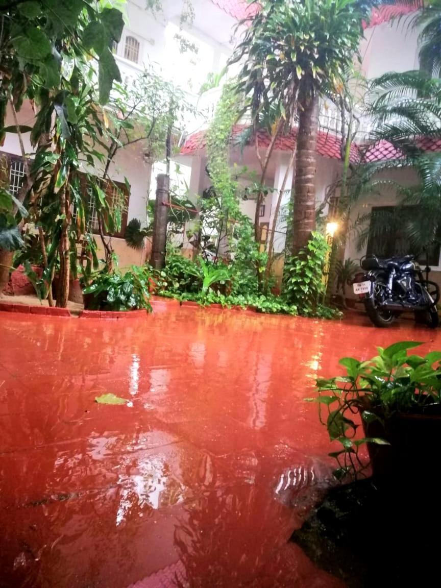Daphne Hotel Mamallapuram Oda fotoğraf