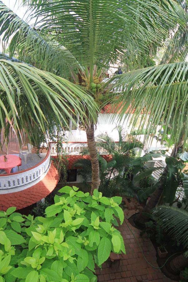 Daphne Hotel Mamallapuram Dış mekan fotoğraf