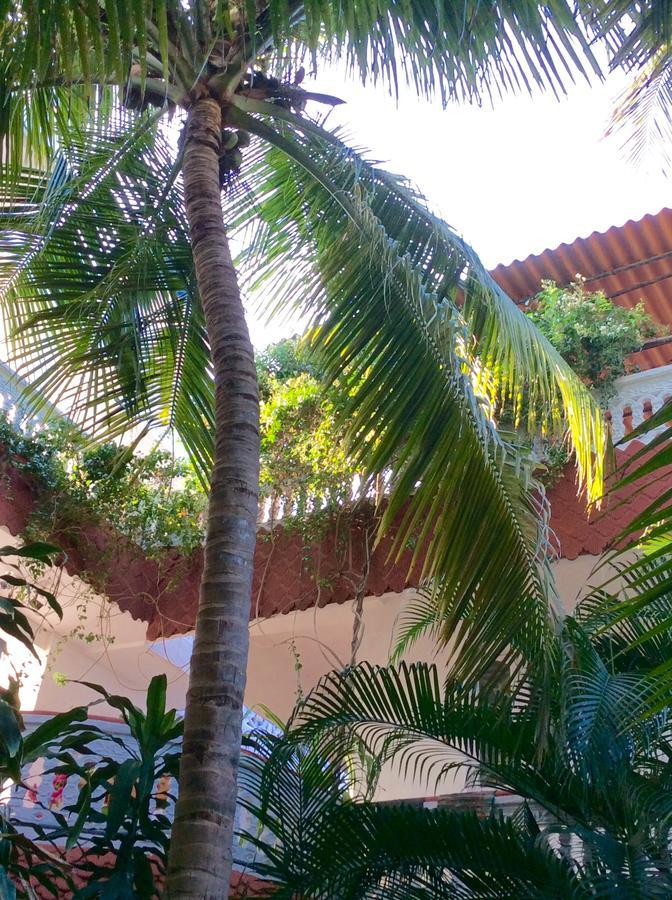 Daphne Hotel Mamallapuram Dış mekan fotoğraf